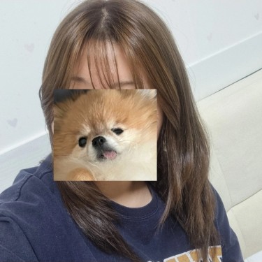 포토리뷰 2