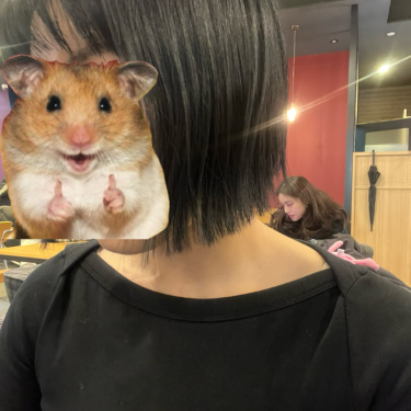 포토리뷰 1