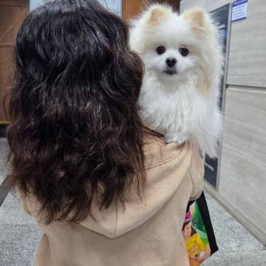 포토리뷰 3