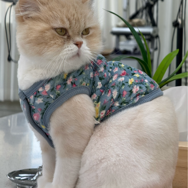 포토리뷰 4