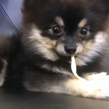 포토리뷰 1