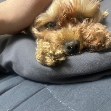 포토리뷰 4