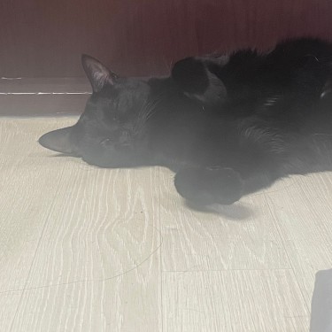 포토리뷰 2