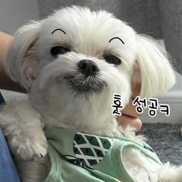 포토리뷰 5