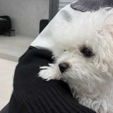 포토리뷰 5