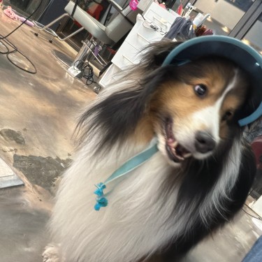 포토리뷰 1