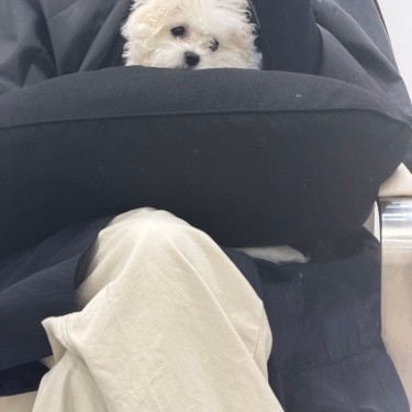 포토리뷰 4