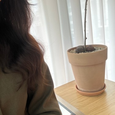 포토리뷰 1