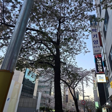 포토리뷰 1