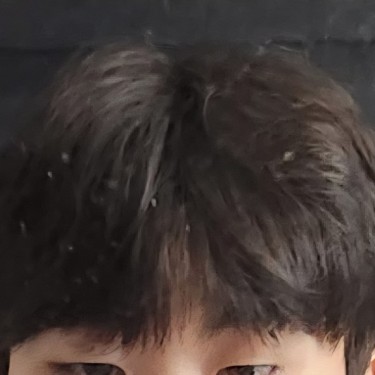 포토리뷰 4