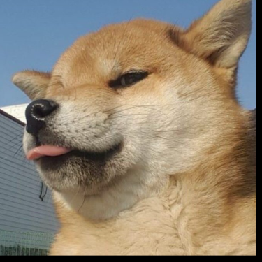 포토리뷰 2