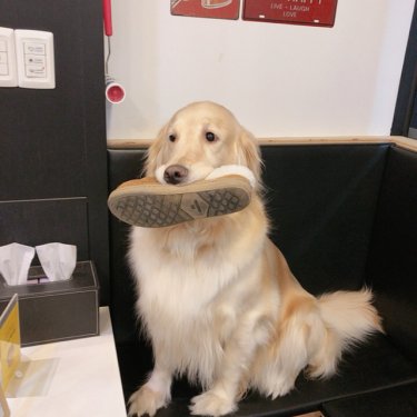 포토리뷰 5