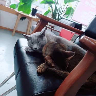 포토리뷰 2