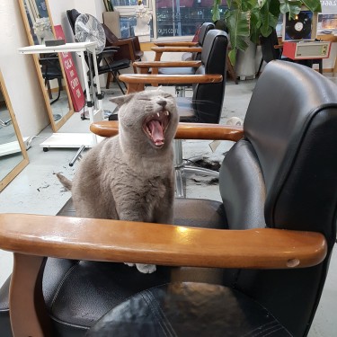 포토리뷰 7