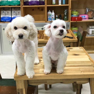 포토리뷰 4