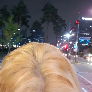 포토리뷰 1