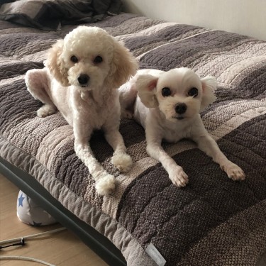 포토리뷰 3