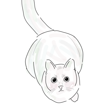 포토리뷰 1