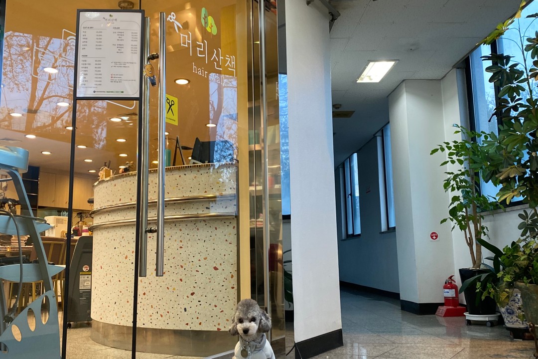 머리산책 , 서울 강남구 일원동 715-1 301미용실, 마메드네