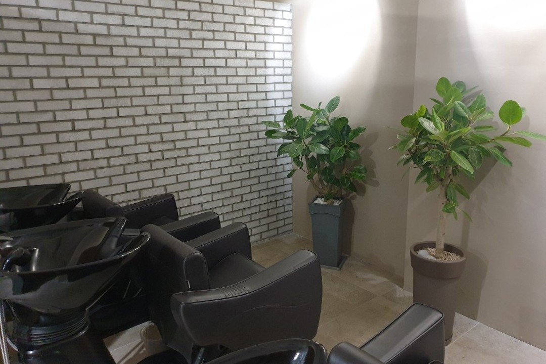 포레포레헤어 , 서울 구로구 오류동 55-50 3층미용실, 마메드네