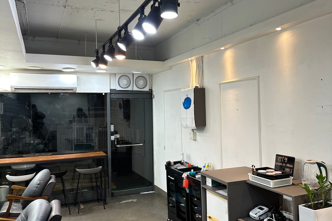 헤어,범 , 서울 광진구 자양동 513 1층미용실, 마메드네