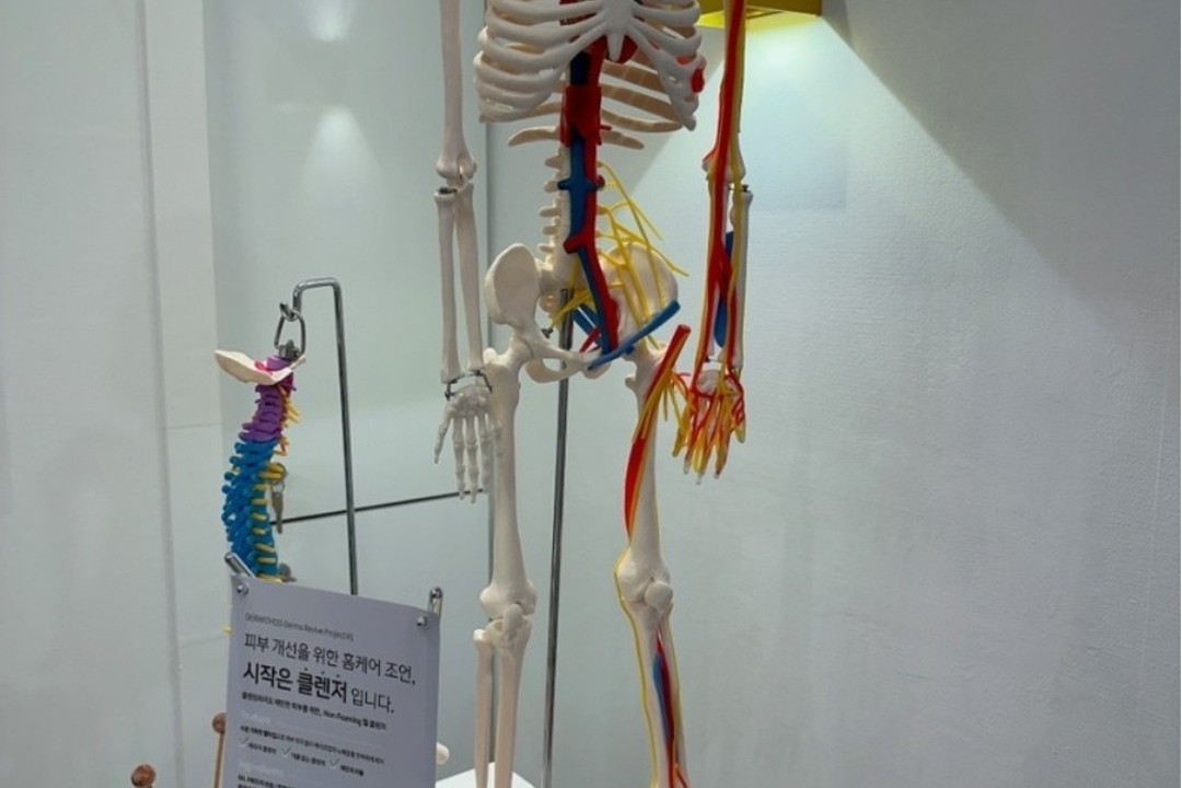 바른얼굴윤곽연구소 , 서울 강남구 논현동 170-27 3층 바른얼굴윤곽연구소미용실, 마메드네