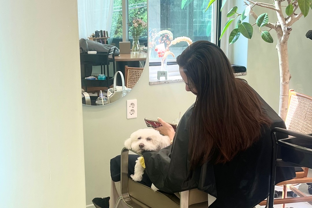 bcut , 서울 강남구 논현동 48 고려빌딩 1층미용실, 마메드네