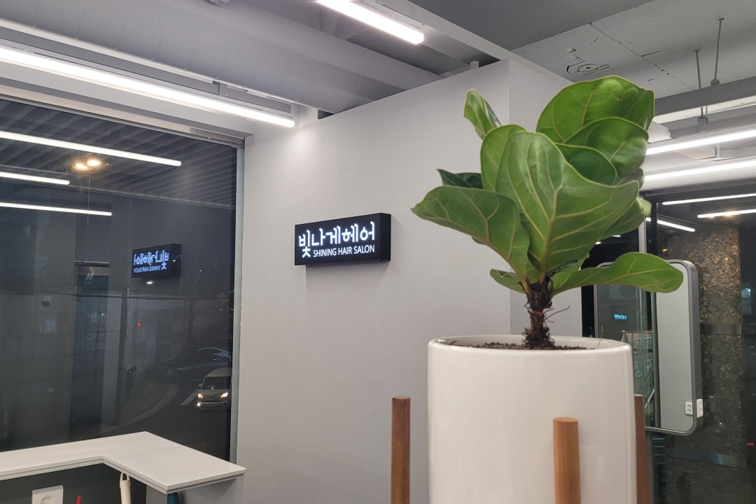 빛나게헤어 , 서울 강남구 역삼동 703-2 2층미용실, 마메드네