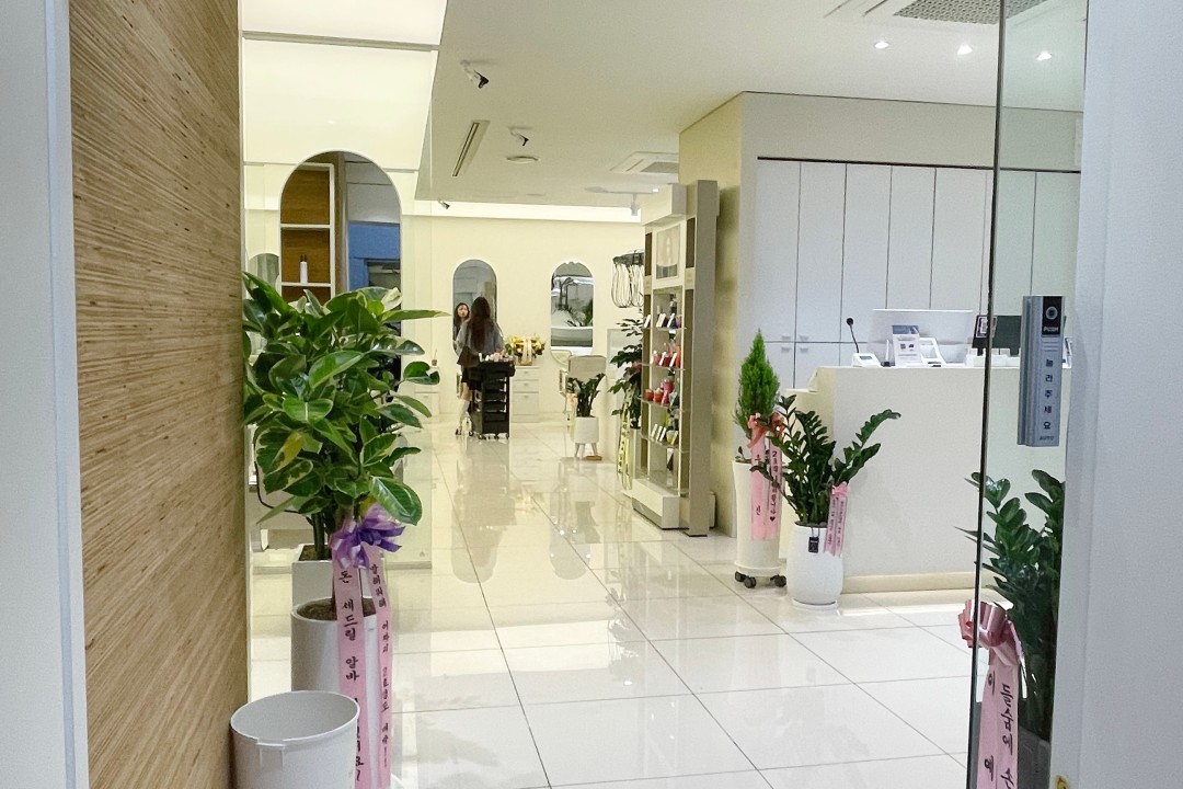 뷰시크 , 대전 서구 둔산동 987 3층미용실, 마메드네