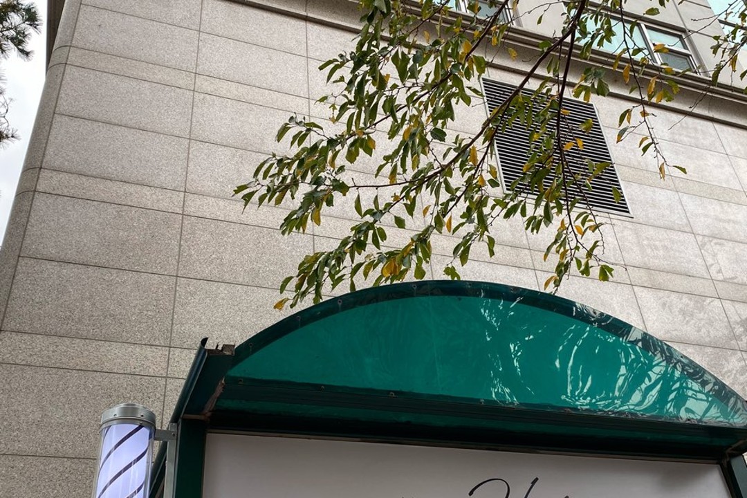 인 더 헤어 , 부산 부산진구 전포동 880-1 전포동 서면세종그랑시아 A동 1층미용실, 마메드네