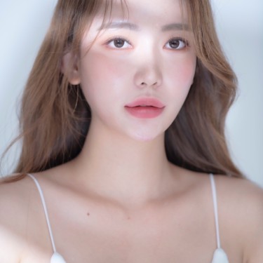 팀장 별