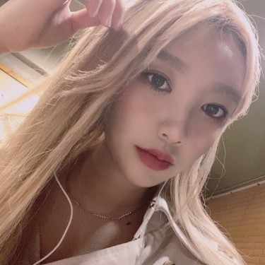 스타일리스트 미정