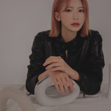 디자이너 하임