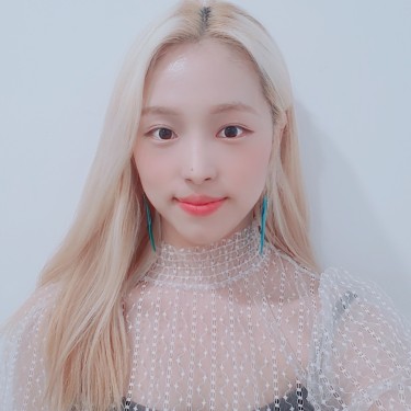 수석스타일리스트 알린