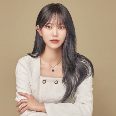 디자이너 테리