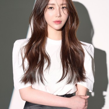 디자이너 다인
