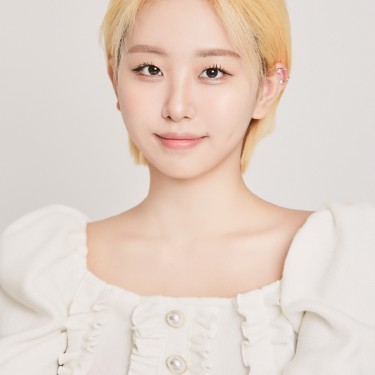 디자이너 레인