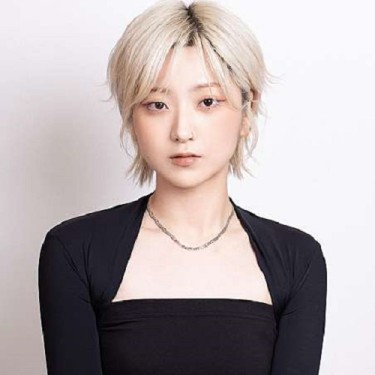디자이너 다다