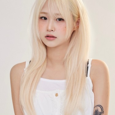 수석 실장 미르