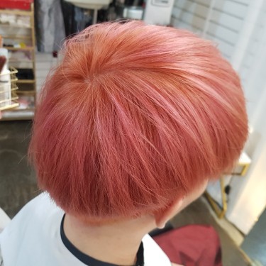 스타일