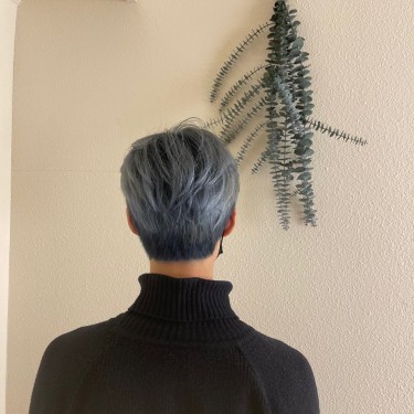 댄디컷