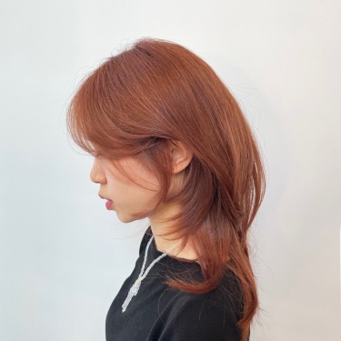 허쉬컷