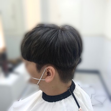 댄디컷
