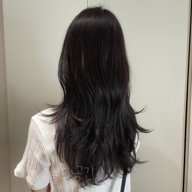 레이어드펌