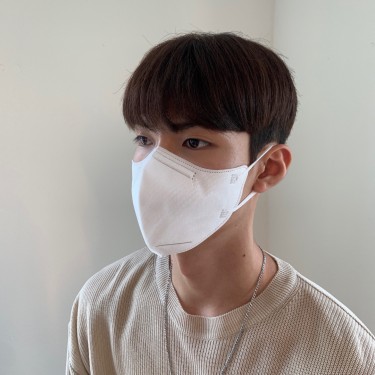 댄디컷