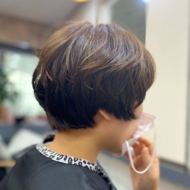 머쉬룸컷
