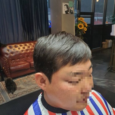 댄디컷