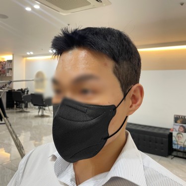 style image