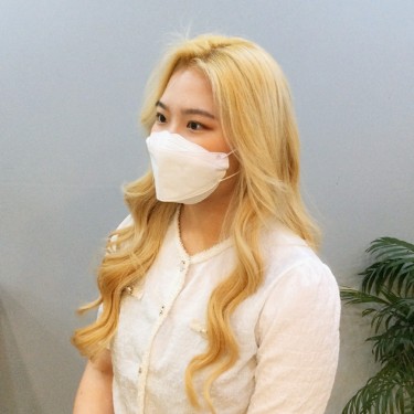 브릿지