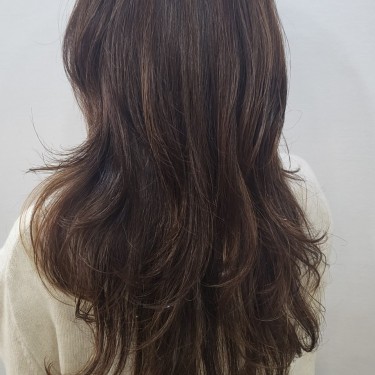 레이어드컷